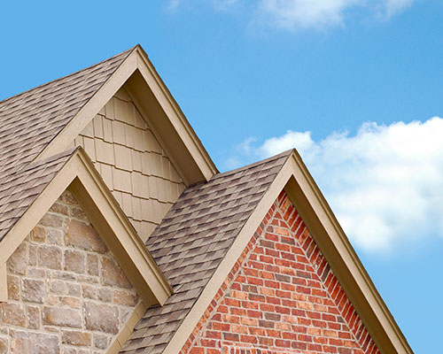 Roof Cleaning