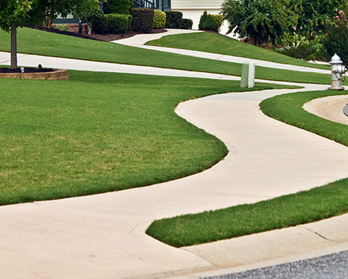 Sidewalk Cleaning